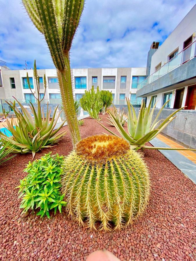 Apartament Mar De Fuerteventura 2 Corralejo Zewnętrze zdjęcie